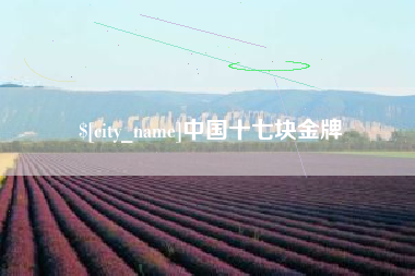 谷城中国十七块金牌
