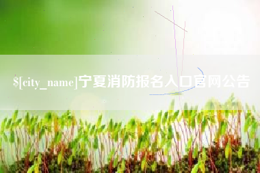 谷城宁夏消防报名入口官网公告