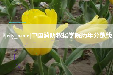 谷城中国消防救援学院历年分数线