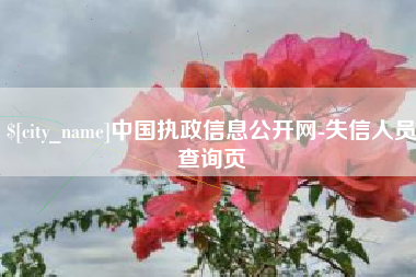 谷城中国执政信息公开网-失信人员查询页