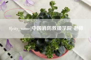 谷城中国消防救援学院 老师