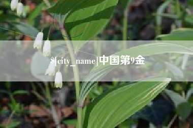 谷城中国第9金
