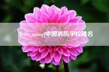 谷城中国消防学校排名