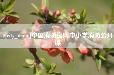 谷城中国消防官网中小学消防公开课