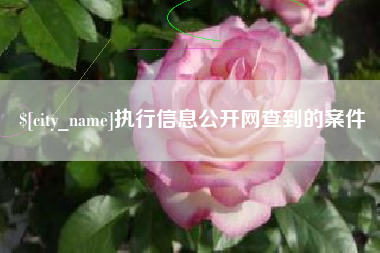 谷城执行信息公开网查到的案件
