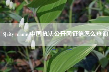 谷城中国执法公开网征信怎么查询