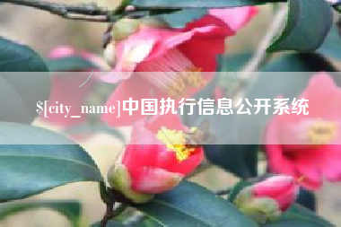 谷城中国执行信息公开系统