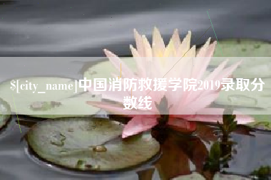 谷城中国消防救援学院2019录取分数线
