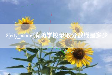 谷城消防学校录取分数线是多少