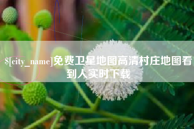 谷城免费卫星地图高清村庄地图看到人实时下载