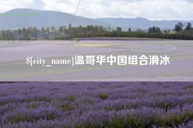 谷城温哥华中国组合滑冰
