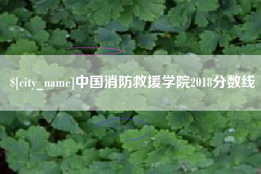 谷城中国消防救援学院2018分数线
