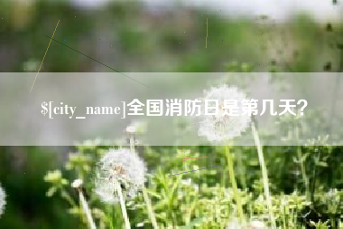 谷城全国消防日是第几天？