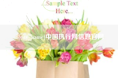 谷城中国执行网信息官网