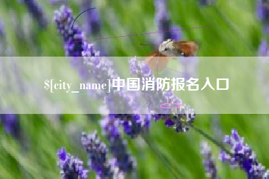 谷城中国消防报名入口