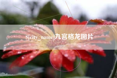谷城九宫格龙图片