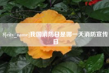 谷城我国消防日是哪一天消防宣传日