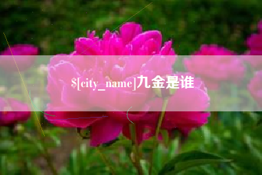 谷城九金是谁