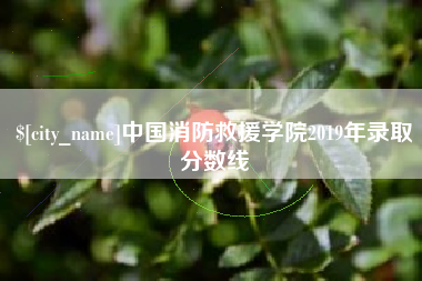 谷城中国消防救援学院2019年录取分数线
