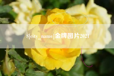 谷城金牌图片2021
