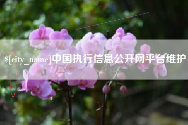 谷城中国执行信息公开网平台维护