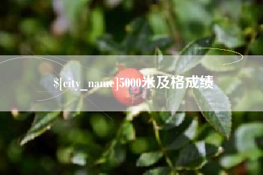 谷城5000米及格成绩
