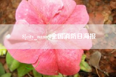 谷城全国消防日海报