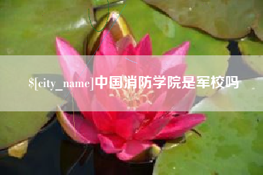 谷城中国消防学院是军校吗