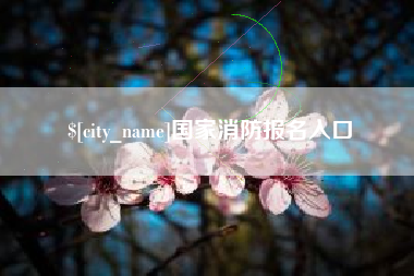 谷城国家消防报名入口