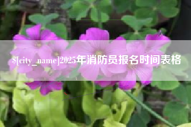 谷城2025年消防员报名时间表格
