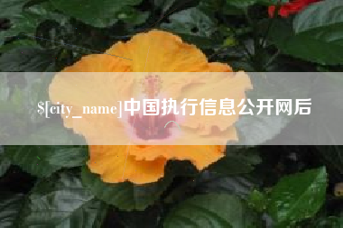谷城中国执行信息公开网后