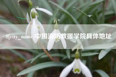谷城中国消防救援学院具体地址