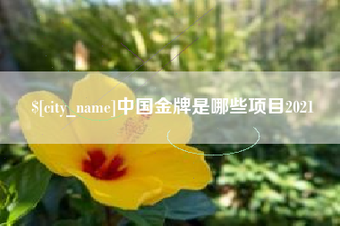 谷城中国金牌是哪些项目2021