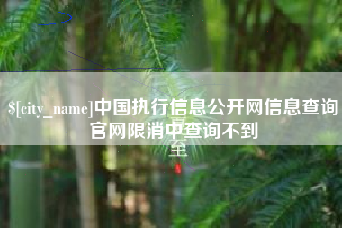 谷城中国执行信息公开网信息查询官网限消中查询不到
