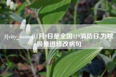 谷城11月9日是全国119消防日,为积极推进修改病句