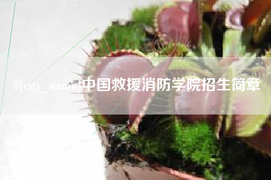 谷城中国救援消防学院招生简章