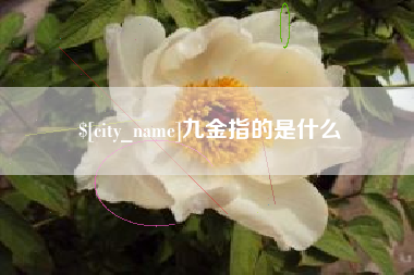 谷城九金指的是什么