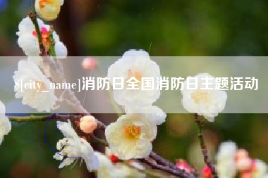 谷城消防日全国消防日主题活动