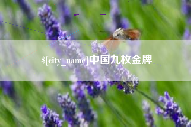 谷城中国九枚金牌
