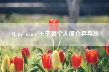 谷城王子豪个人简介乒乓球