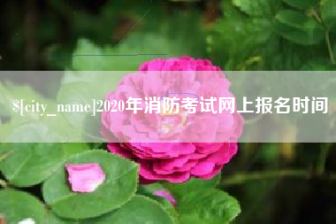 谷城2020年消防考试网上报名时间