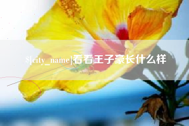 谷城看看王子豪长什么样