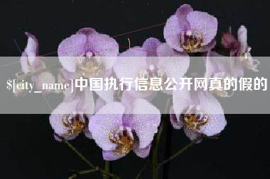 谷城中国执行信息公开网真的假的