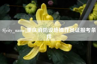 谷城重庆消防设施操作员证报考条件