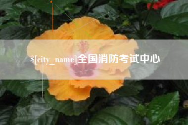 谷城全国消防考试中心