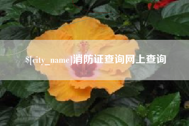谷城消防证查询网上查询