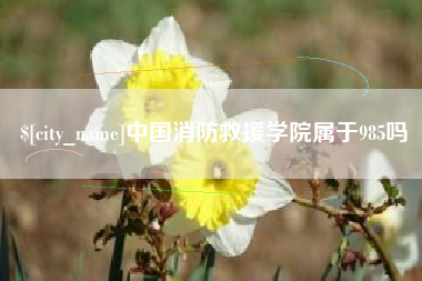 谷城中国消防救援学院属于985吗