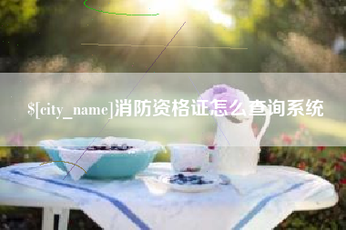 谷城消防资格证怎么查询系统