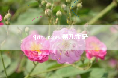 谷城第九金是