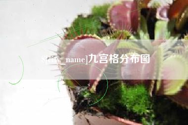 谷城九宫格分布图